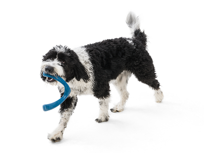West Paw - Snorkl® Dog Toy for Play, Tug, and Fetch