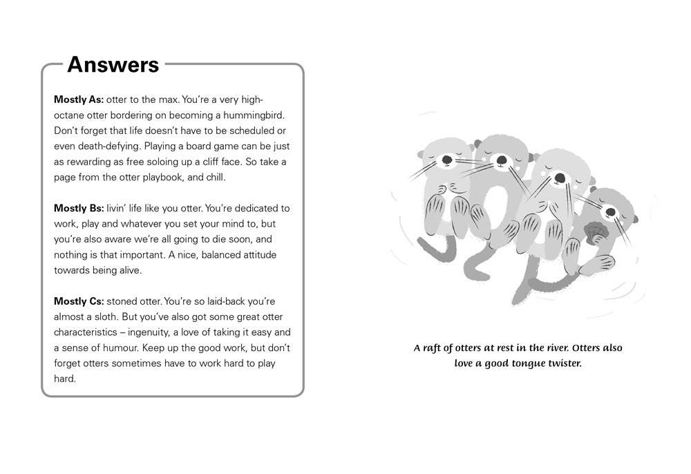 HarperCollins - Little Book of Otter Philosophy, The: Jennifer McCartney
