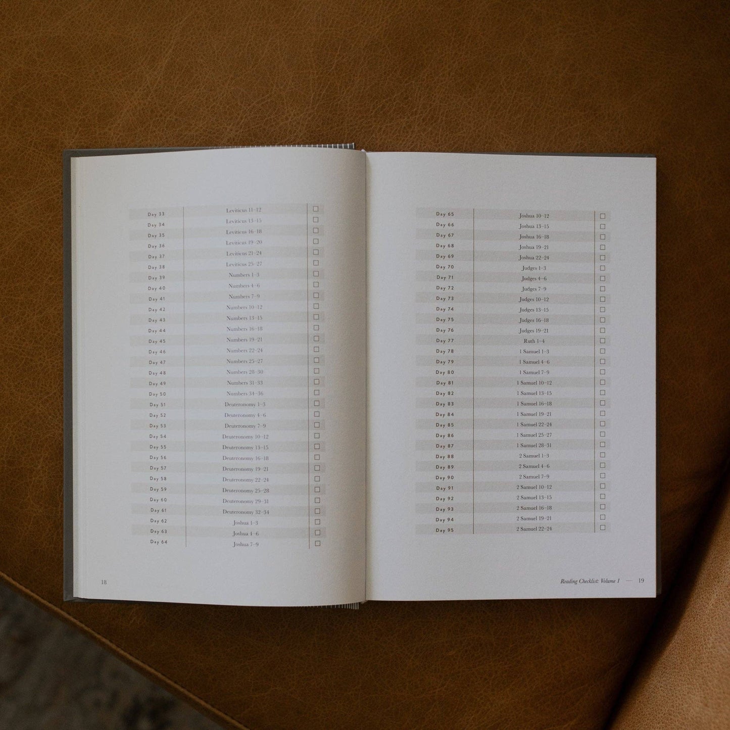 The Daily Grace Co - A Year in the Bible | Men's Study | 365 Days of Discovering the Beauty of Jesus from Genesis to Revelation | Volume 1