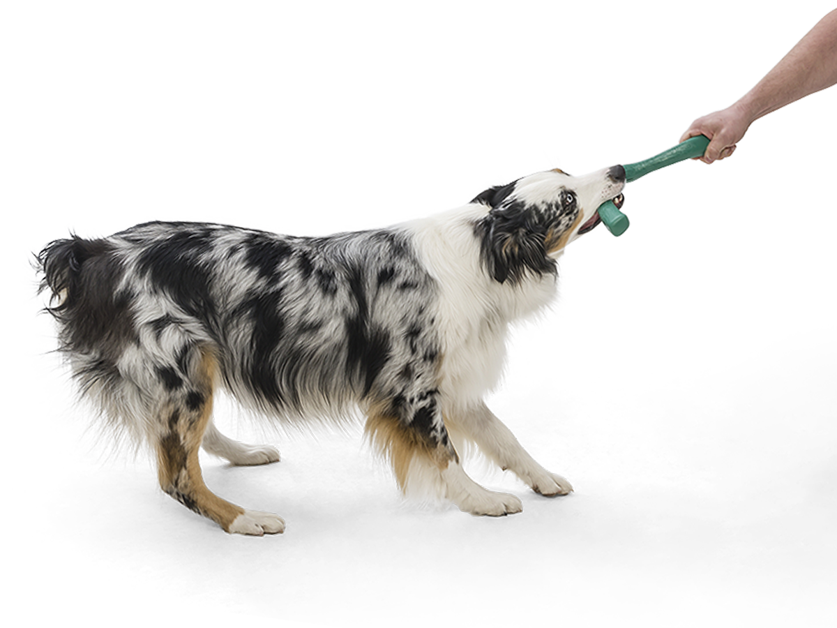 West Paw - Snorkl® Dog Toy for Play, Tug, and Fetch