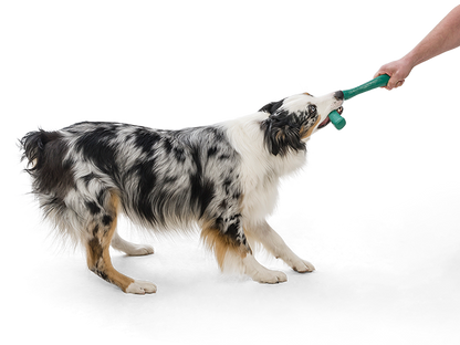 West Paw - Snorkl® Dog Toy for Play, Tug, and Fetch